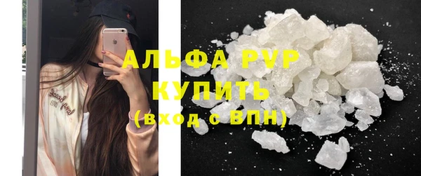 стаф Новодвинск