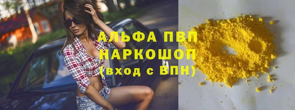 стафф Новокубанск