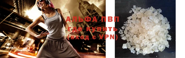 шишки Новозыбков