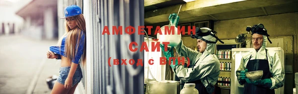 стаф Новодвинск