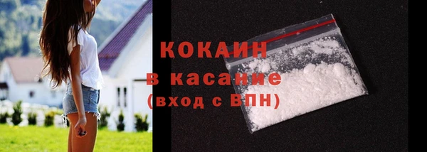 шишки Новозыбков
