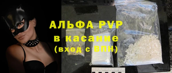 шишки Новозыбков