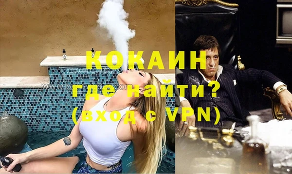 шишки Новозыбков