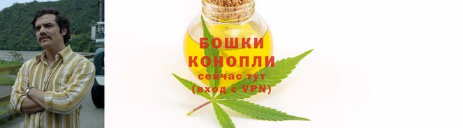 стаф Новодвинск