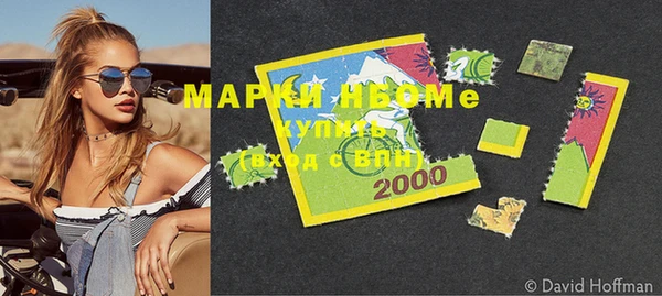 стаф Новодвинск