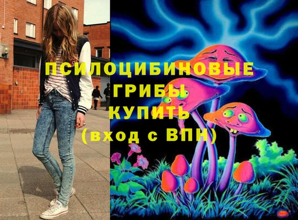 стафф Новокубанск