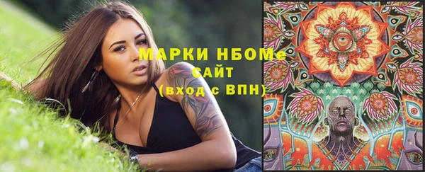 шишки Новозыбков