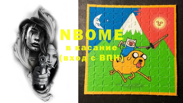 стаф Новодвинск