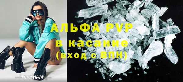 шишки Новозыбков