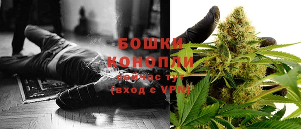 шишки Новозыбков