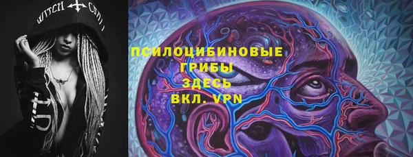 стафф Новокубанск