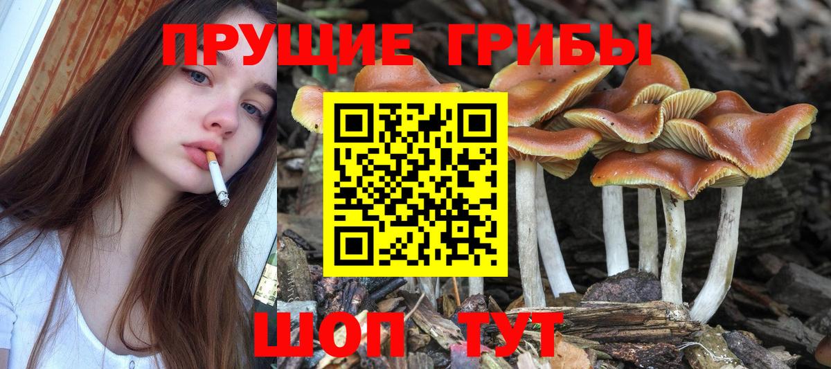 Галлюциногенные грибы Cubensis Тольятти