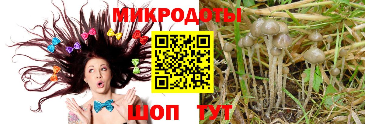 Псилоцибиновые грибы GOLDEN TEACHER  Галлюциногенные грибы MAGIC MUSHROOMS  Тольятти  Вход с VPN 